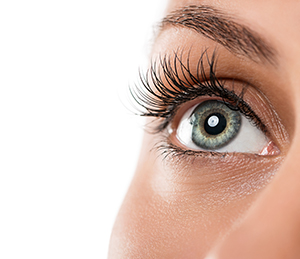Eyes Combo Package