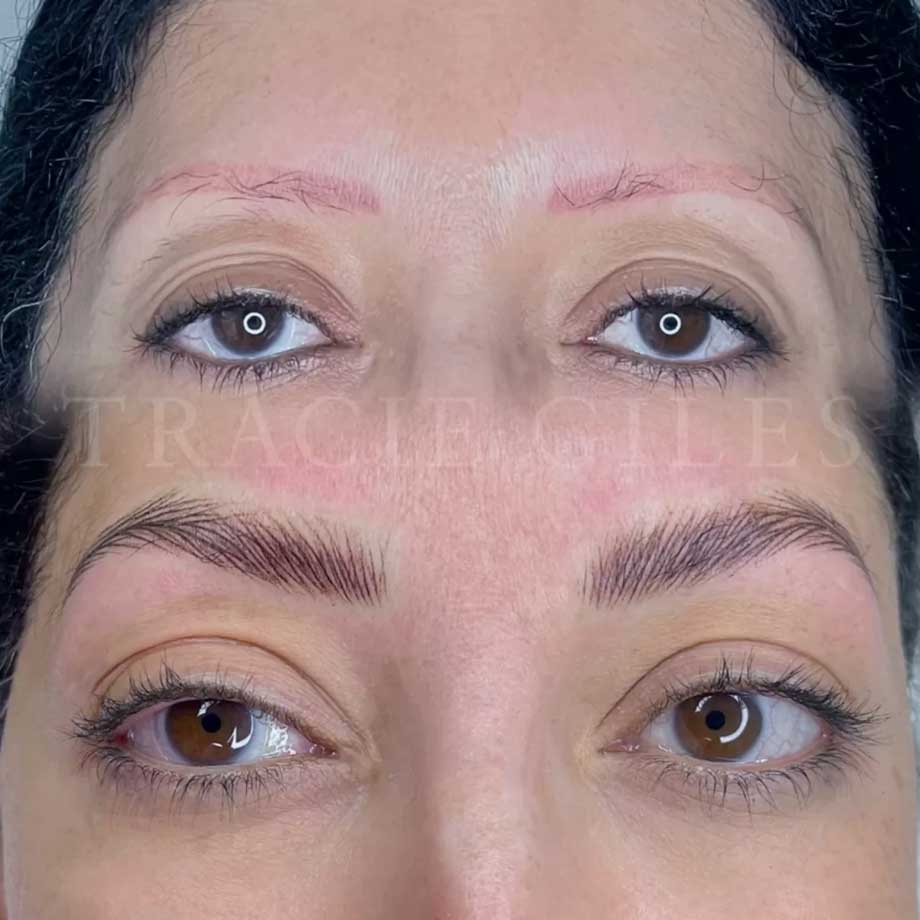 Permanent Makeup Hyperrealism Brows