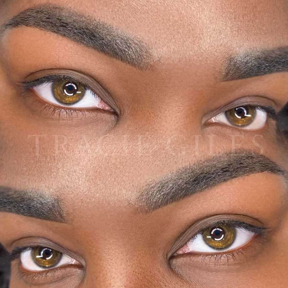 Powder & Ombre Brows