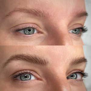 Digital Brows Training
